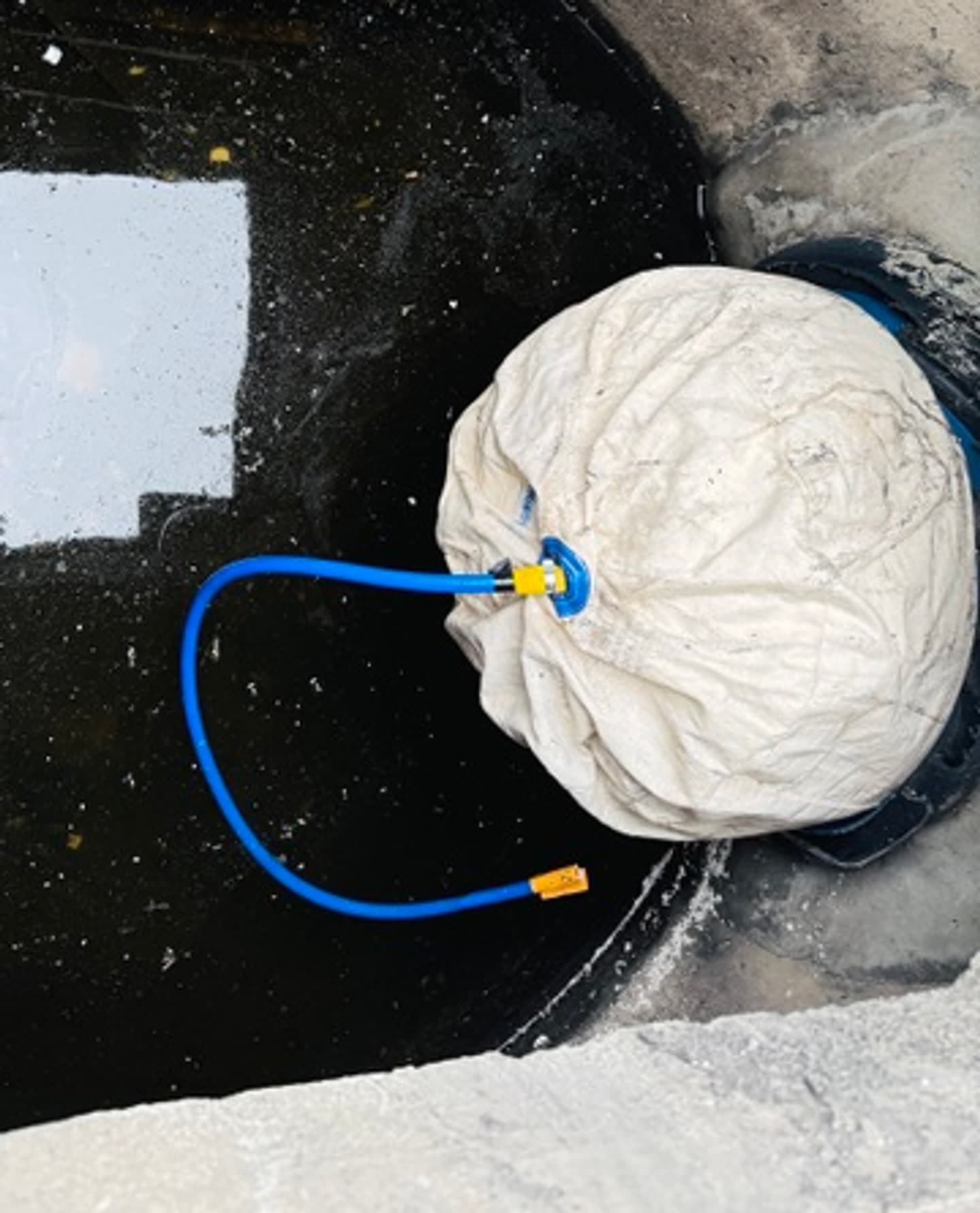 Inflatable drain bung positioned for wastewater containment